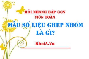 Mẫu số liệu ghép nhóm, không ghép nhóm là gì? Ví dụ minh họa mẫu số liệu ghép nhóm, không ghép nhóm